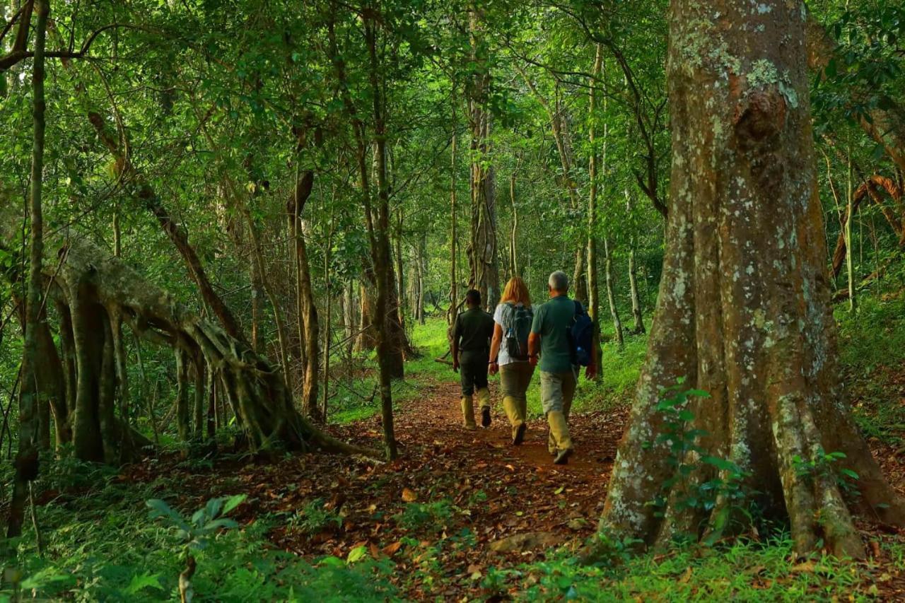Quadriya Palace Thekkady Buitenkant foto